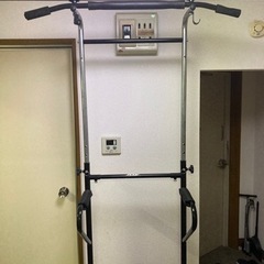 ぶら下がり懸垂器