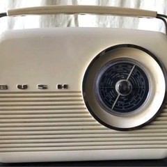 売り切れました、ありがとうございました‼️  BUSH RADI...
