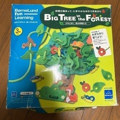 パズルと紐通しの画像