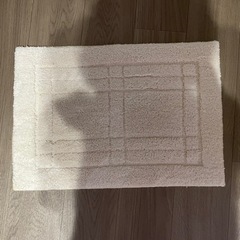 値下げ　玄関マット　お風呂マット　カーペット　ラグ　マット　絨毯