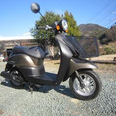 ★☆彡ホンダＴｏｄａｙ・ＡＦ６７・お買い得・ＭＡＸパワー全開・女子高生通学・美車★☆彡 の画像