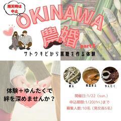 さとうきび体験婚活