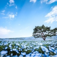 旅行好きなカメラ友達 - 豊島区