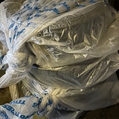 nopinz Aerocoach スキンスーツ TTスーツ ゼッケンポケット付き