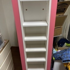 漫画、本、CD、DVDラックの画像