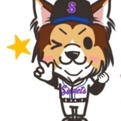 【マネージャー募集】経験・未経験不問。野球好きな方は是非ご一読く...