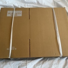 100サイズダンボール箱×10