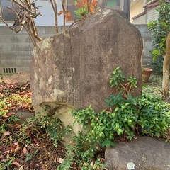 大きな庭石の画像