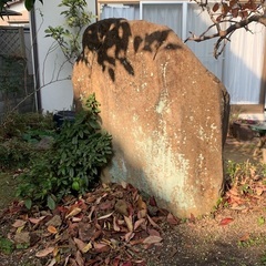 大きな庭石の画像