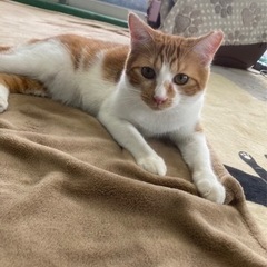 僕だけが生き残ってます🥺