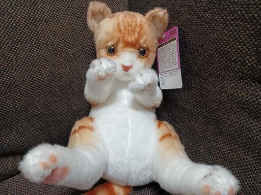 REAL ANIMAL  リアルアニマル　猫つまんで ぬいぐるみ　茶白