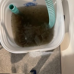 大掃除