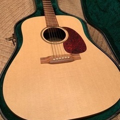 Martin DXM