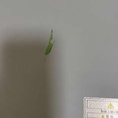 オーブントースターの画像