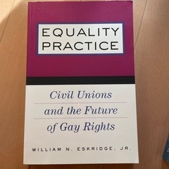 洋書　EQUALITY PRACTICE