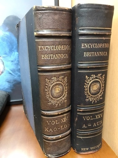 洋書