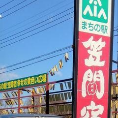 出店者も募集中です(^^)/　笠間市　笠間宿　フリマ、ライブもあ...