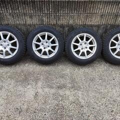 サマーセール グラキリス ベアルート 特大サイズ_4 サマーセール グラキリス ベアルート 特大サイズ_4