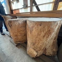 【見学大歓迎】丸太、テーブル用など欅（ケヤキ）の画像
