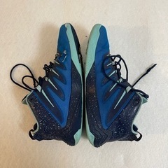 NIKE スニーカー　【Jordan CP3 IX】３０㎝の画像
