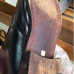 裏は皮ですの画像