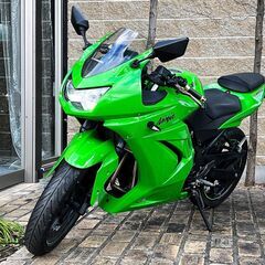 Ninja 250R SE 社外マフラー フェンダーレスキット ...