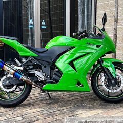 Ninja 250R SE 社外マフラー フェンダーレスキット 他アフターパーツ装着車両 カワサキ ニンジャの画像