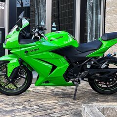 Ninja 250R SE 社外マフラー フェンダーレスキット 他アフターパーツ装着車両 カワサキ ニンジャの画像