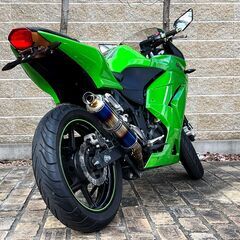 Ninja 250R SE 社外マフラー フェンダーレスキット 他アフターパーツ装着車両 カワサキ ニンジャの画像