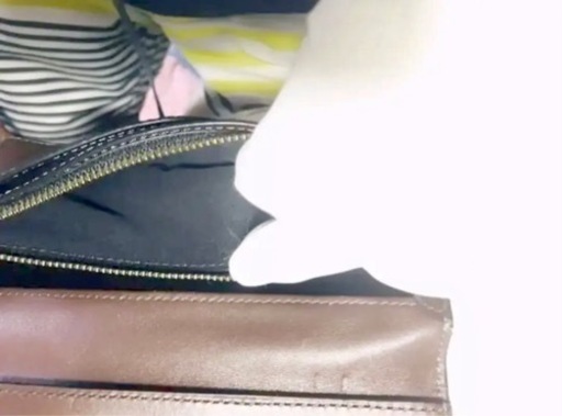売り切れました、ありがとうございました‼️お値下げ‼️【新品】 COACH コーチ 長財布　未使用‼️