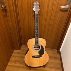 HONEYBEE アコースティックギター ソフトケース付き