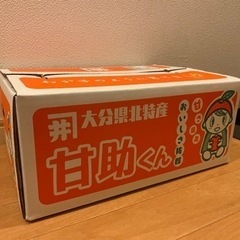 甘助くん　1ケース《お話し中》
