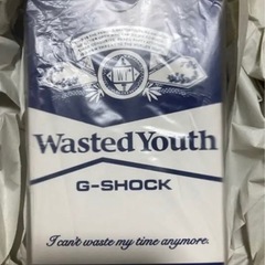 7日の昼まで！Wasted Youth G-SHOCK DW-5900WY-2JR VERDY Gショック　human made