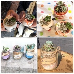 1月21日土曜日多肉植物寄せ植え体験❣️路地裏ガレージマーケット...