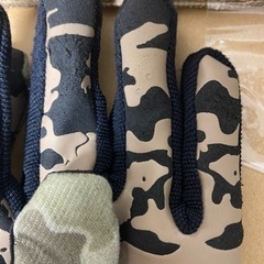 バートン　グローブの画像