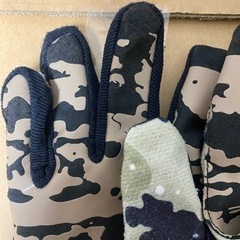 バートン　グローブの画像