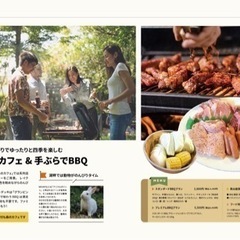 アドベンチャーリゾート　カフェスタッフの画像