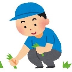 おうちの草抜きします！