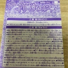 ディズニーマジックキャッスル魔法のタッチ手帳ドリームパスポートの画像
