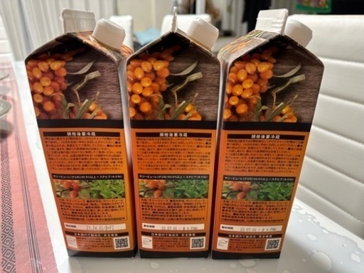 豊潤サジー3本セット＋乳酸菌サプリ