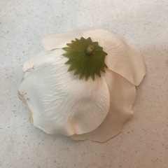 水中花 花瓶 円筒形の画像
