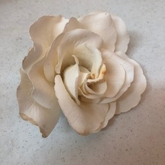 水中花 花瓶 円筒形の画像