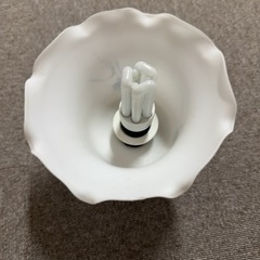 照明　あげますの画像