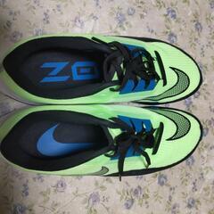 NIKE ランキングシューズ  ２９cmの画像