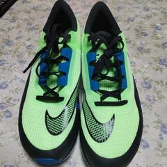 NIKE ランキングシューズ  ２９cm