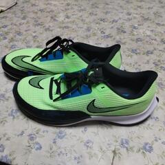 NIKE ランキングシューズ  ２９cmの画像