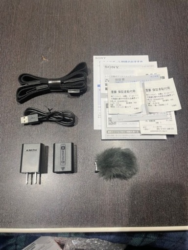 SONY VLOGCAM ZV-E10 + SEL35F18