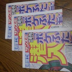 2022年8月2日　ポケふた特別号　新聞記事の画像