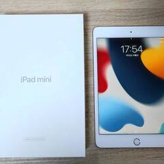 【美品】 iPad mini 5 Wi-Fi 64GB ゴールド 付属品いろいろ