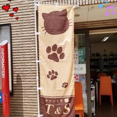 1/15(日)🎪無料ワークお知らせ～😸🐾
